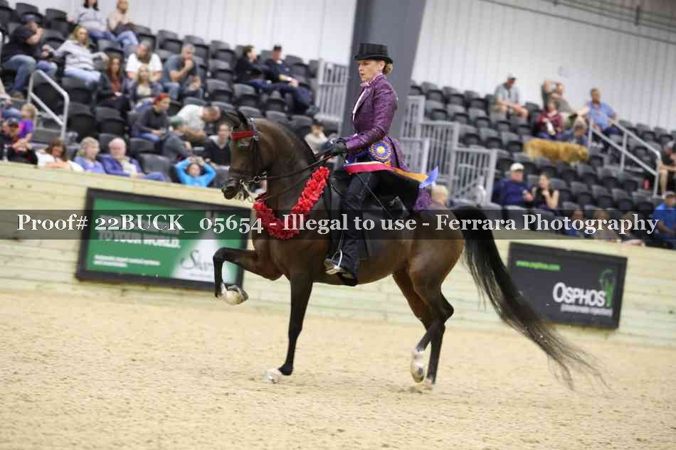 Proof 22BUCK_05654