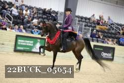 22BUCK_05654 proof