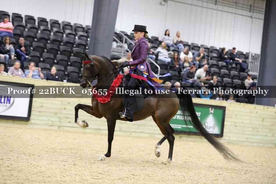 Proof 22BUCK_05655