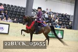 22BUCK_05655 proof