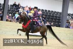 22BUCK_05656 proof