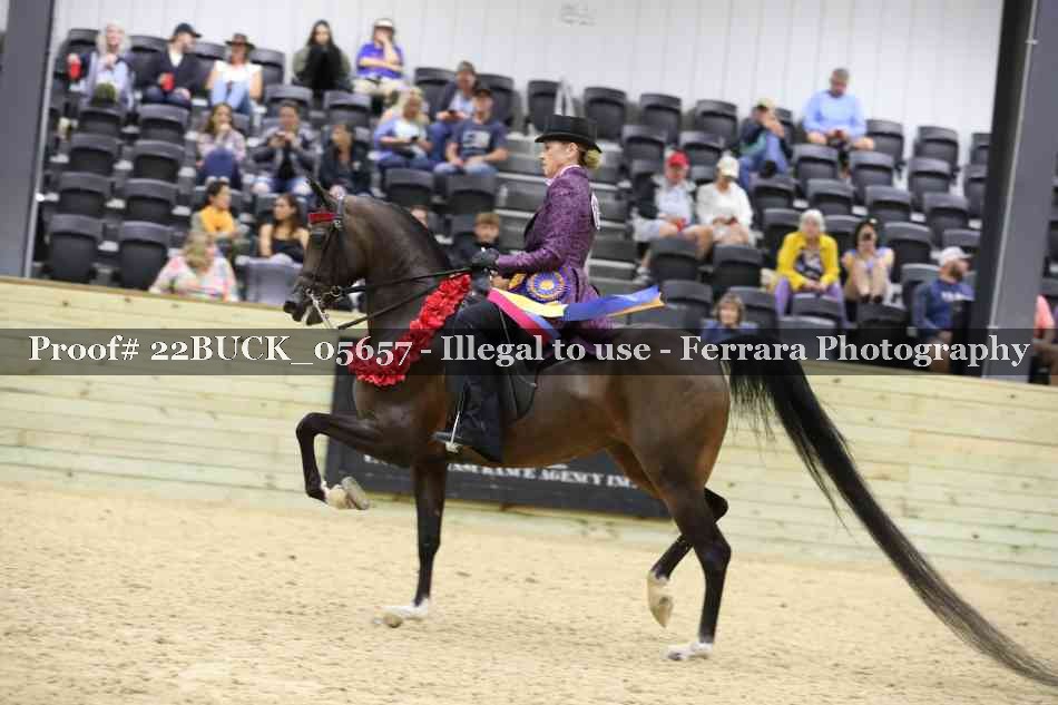 Proof 22BUCK_05657