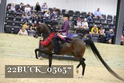 22BUCK_05657 proof