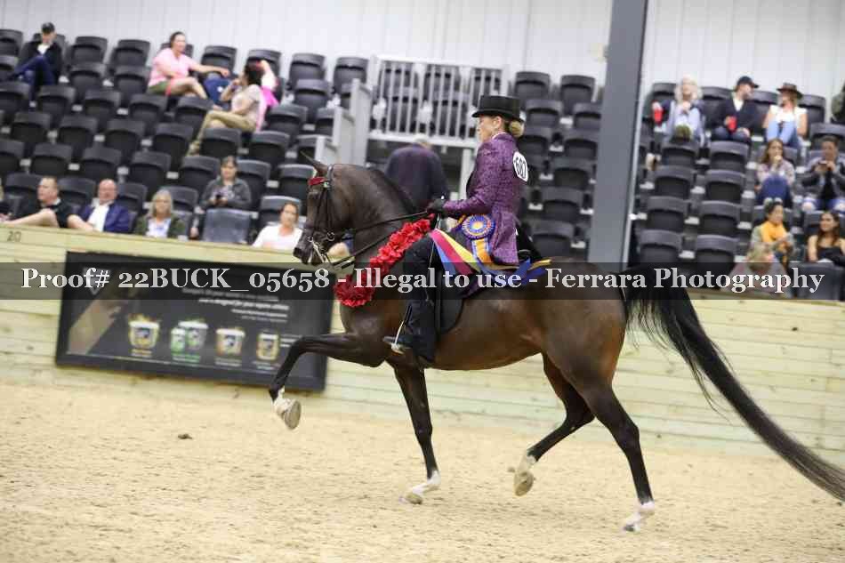 Proof 22BUCK_05658