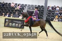 22BUCK_05658 proof