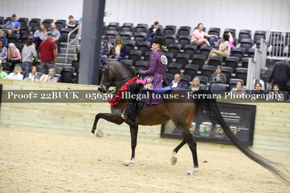 Proof 22BUCK_05659
