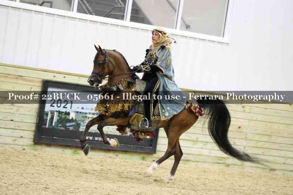Proof 22BUCK_05661