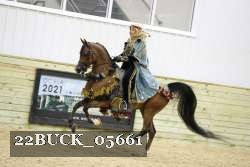 22BUCK_05661 proof