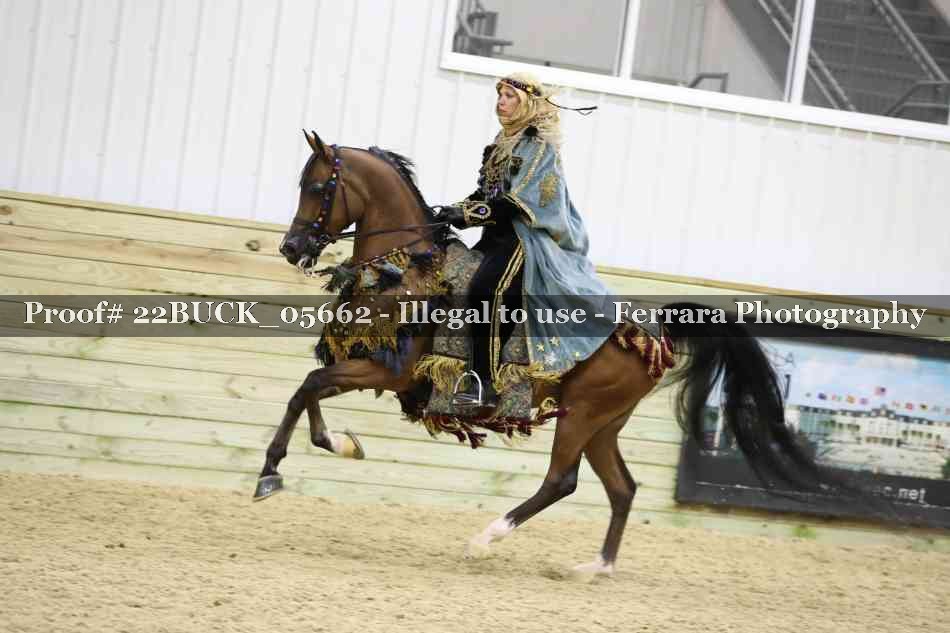 Proof 22BUCK_05662