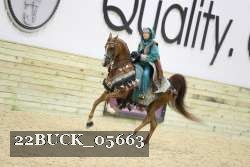 22BUCK_05663 proof