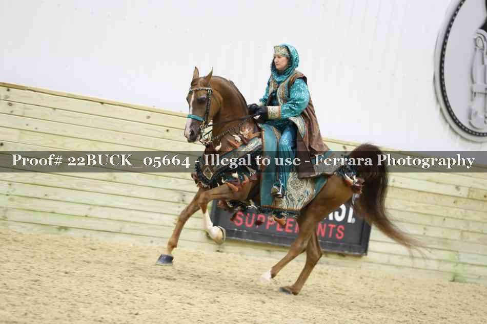 Proof 22BUCK_05664