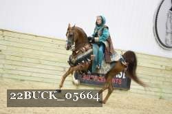 22BUCK_05664 proof