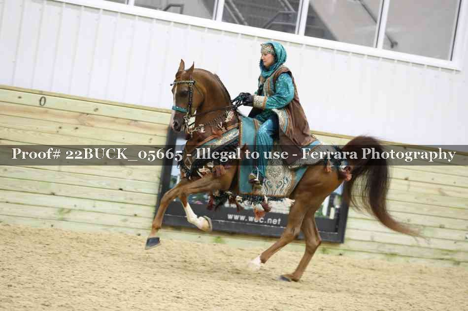 Proof 22BUCK_05665