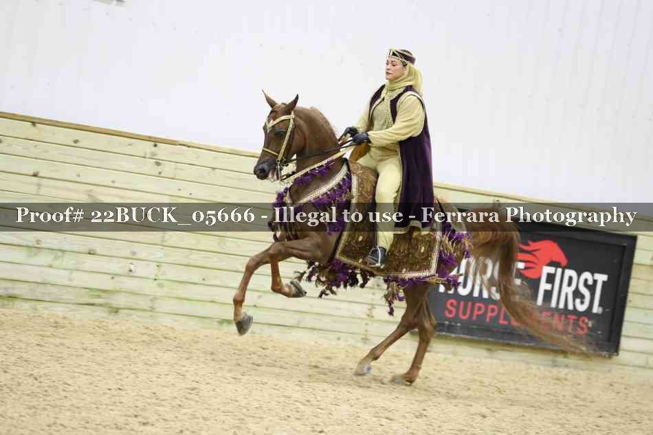 Proof 22BUCK_05666