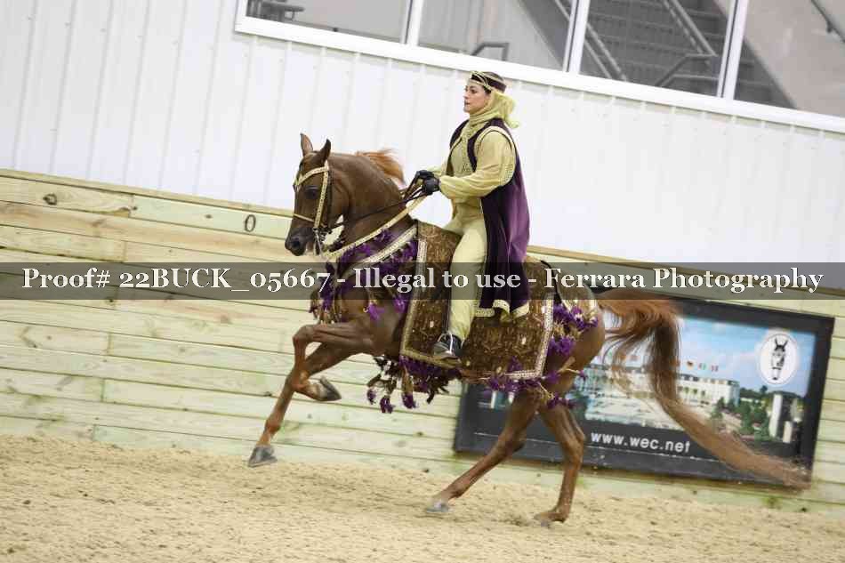 Proof 22BUCK_05667