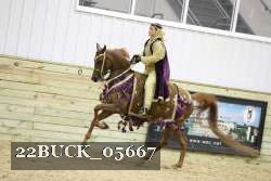 22BUCK_05667 proof