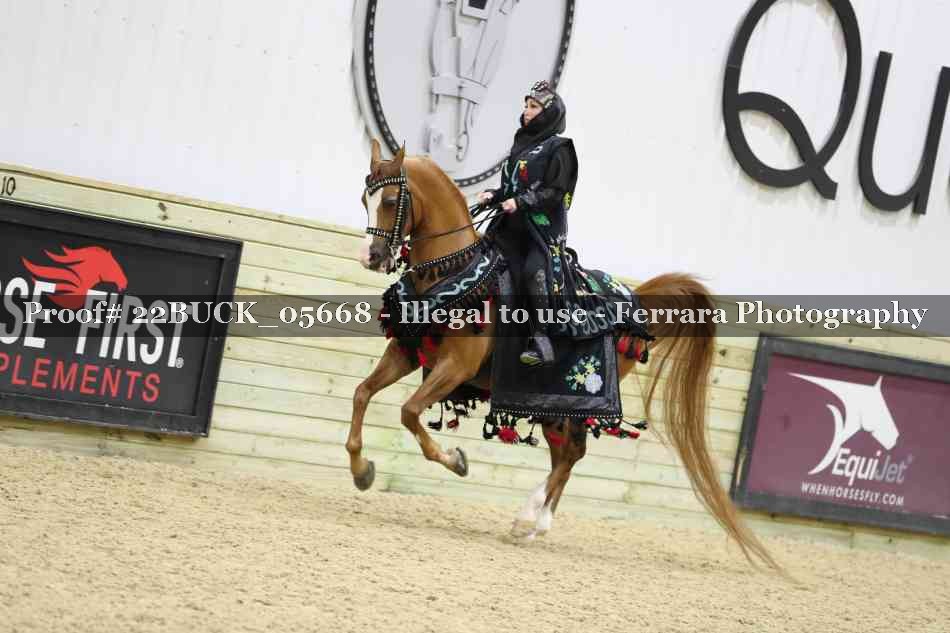 Proof 22BUCK_05668