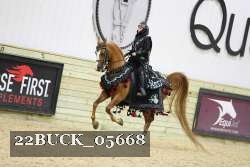 22BUCK_05668 proof
