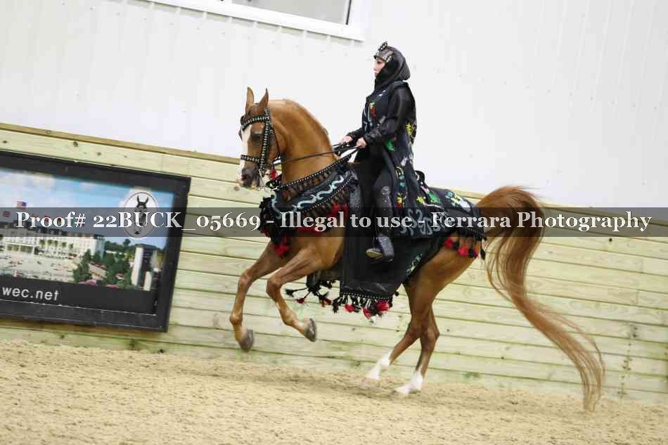 Proof 22BUCK_05669