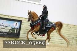 22BUCK_05669 proof