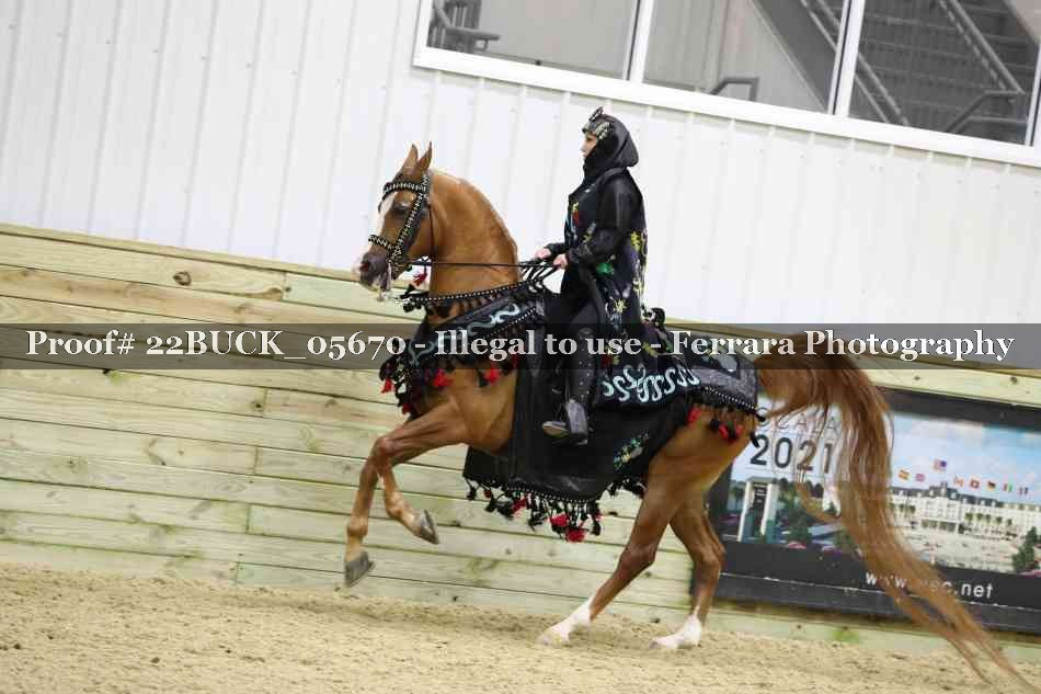 Proof 22BUCK_05670