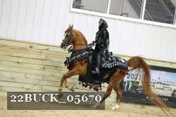 22BUCK_05670 proof