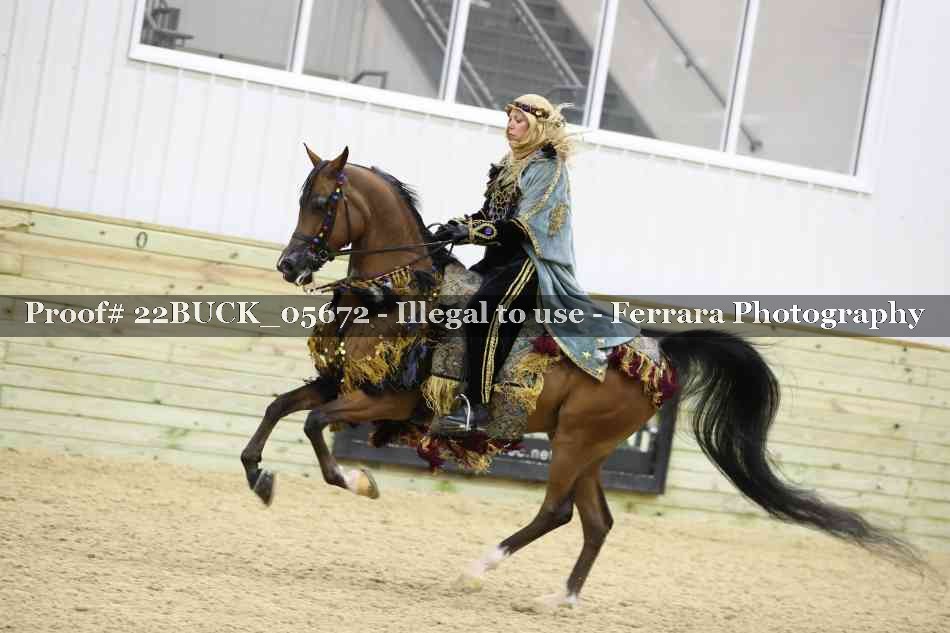 Proof 22BUCK_05672