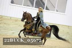 22BUCK_05672 proof