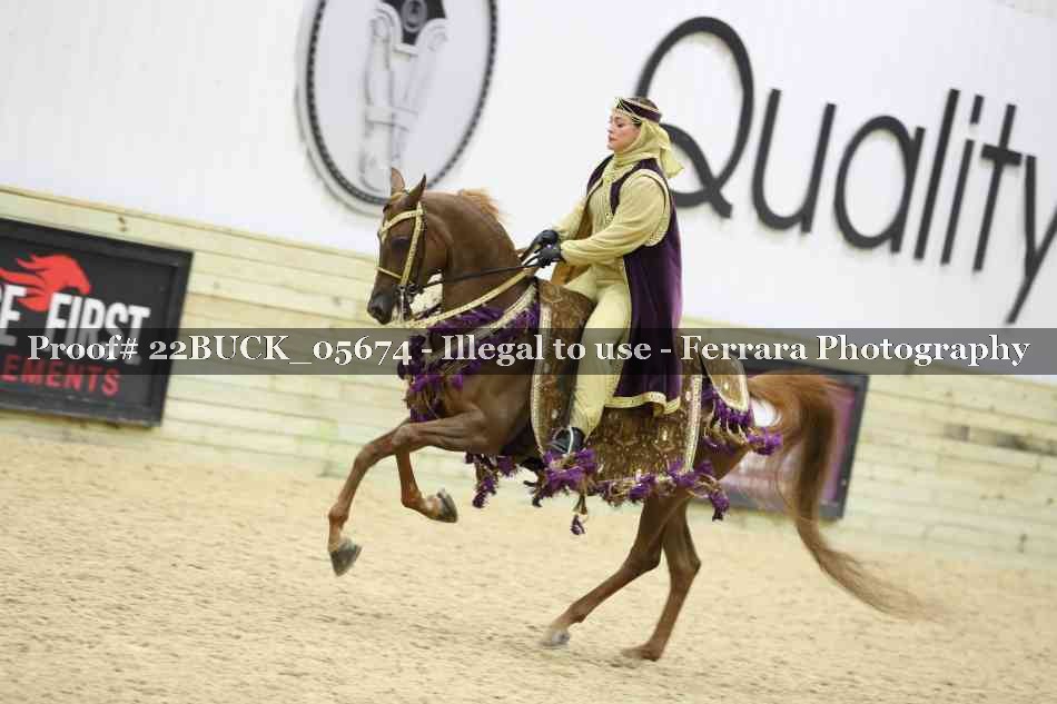 Proof 22BUCK_05674