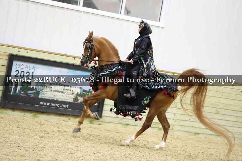 Proof 22BUCK_05678