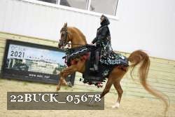 22BUCK_05678 proof