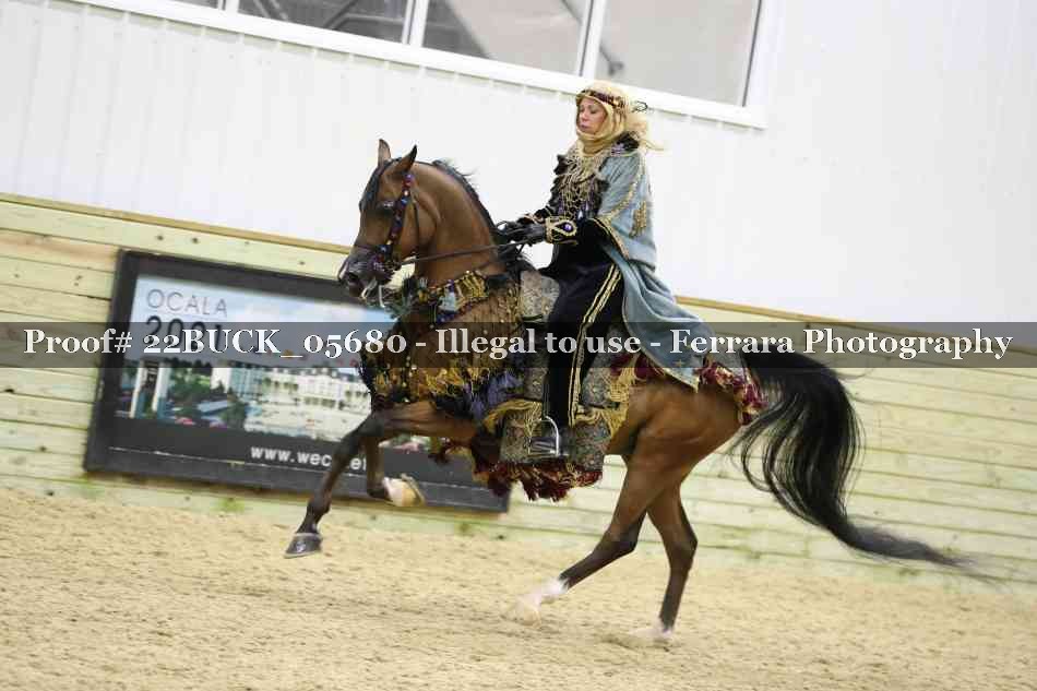 Proof 22BUCK_05680