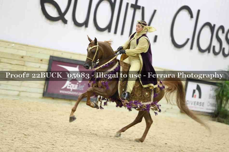 Proof 22BUCK_05683