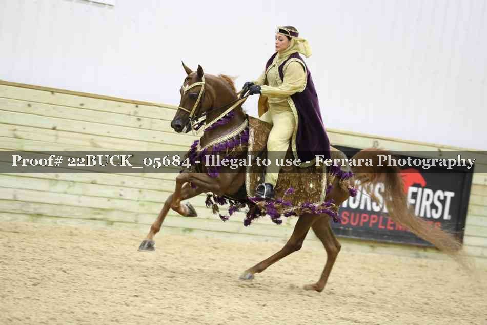 Proof 22BUCK_05684