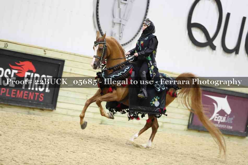 Proof 22BUCK_05685