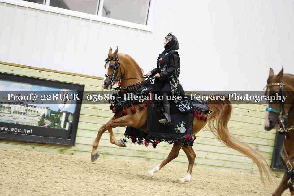 Proof 22BUCK_05686