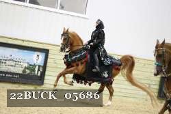 22BUCK_05686 proof