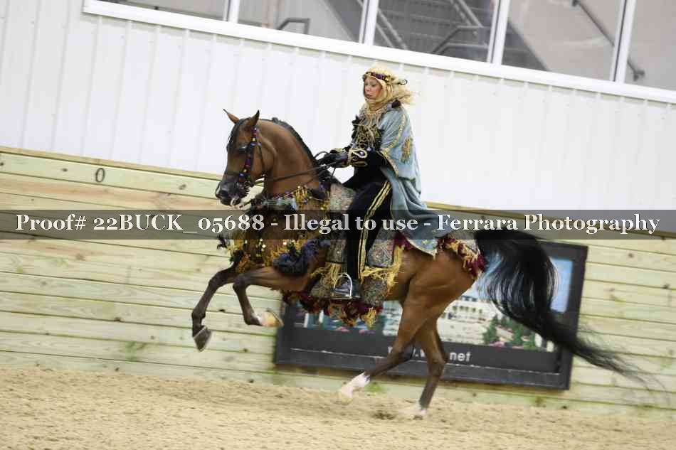 Proof 22BUCK_05688