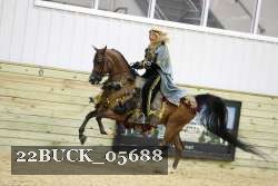 22BUCK_05688 proof