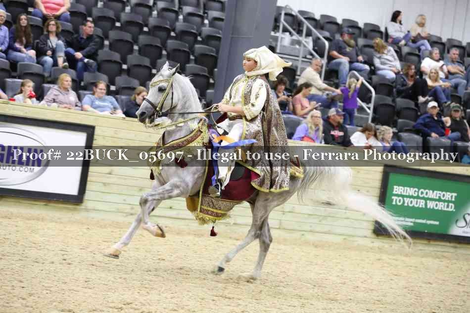 Proof 22BUCK_05697