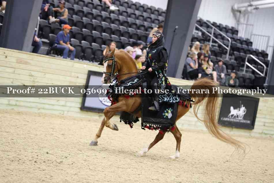Proof 22BUCK_05699