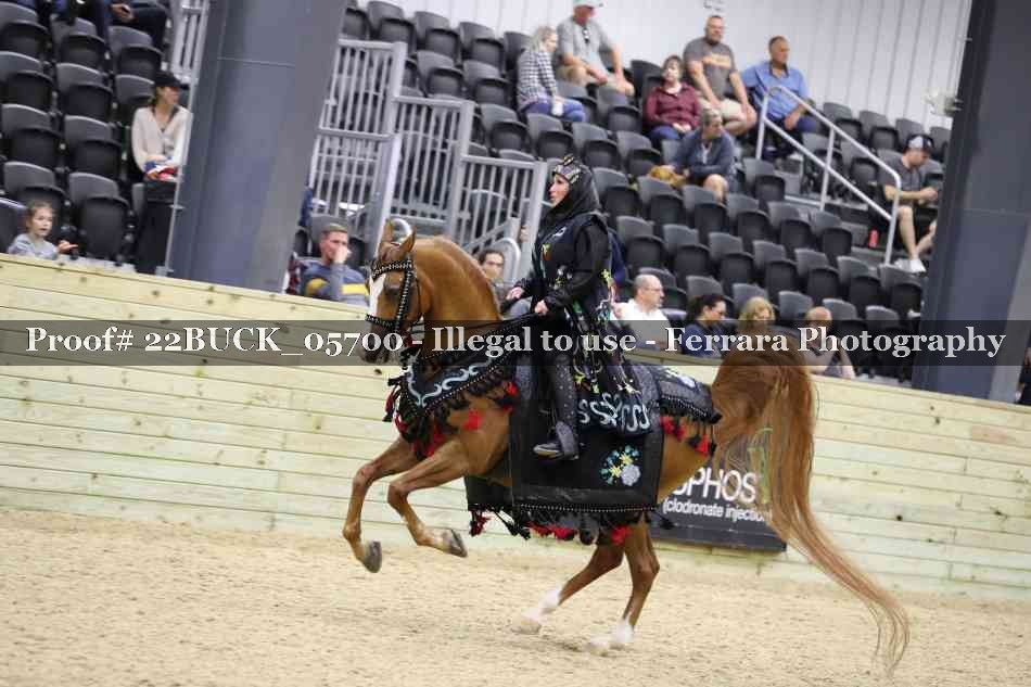 Proof 22BUCK_05700