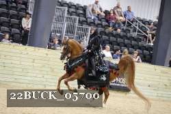 22BUCK_05700 proof