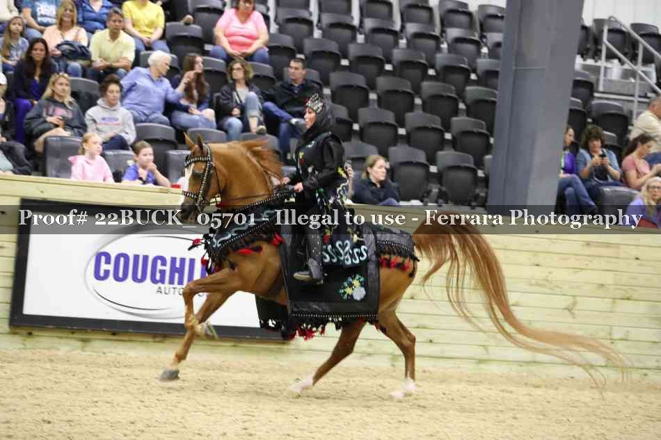 Proof 22BUCK_05701