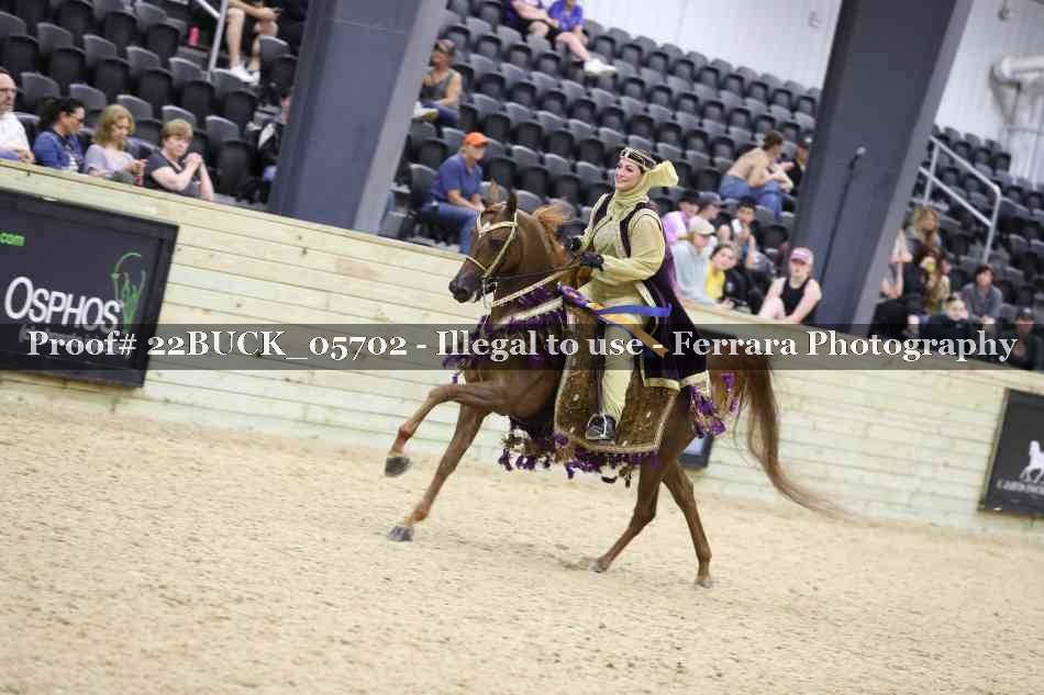 Proof 22BUCK_05702