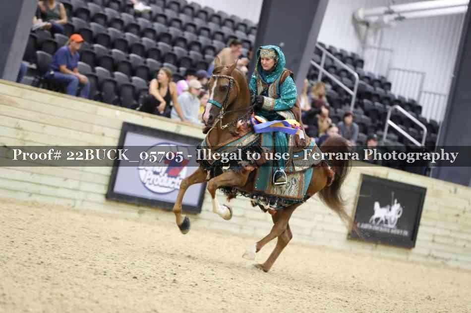 Proof 22BUCK_05705