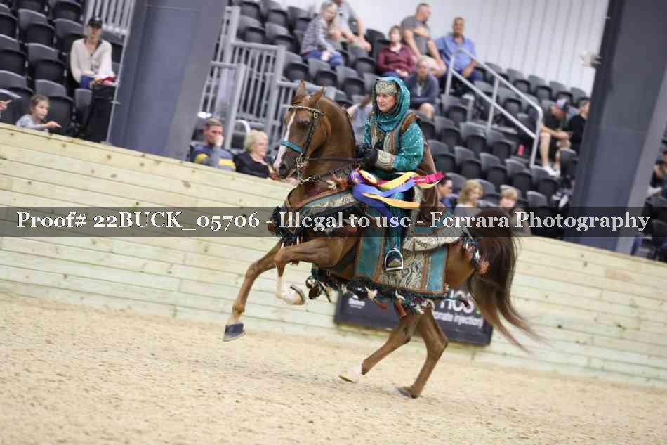 Proof 22BUCK_05706