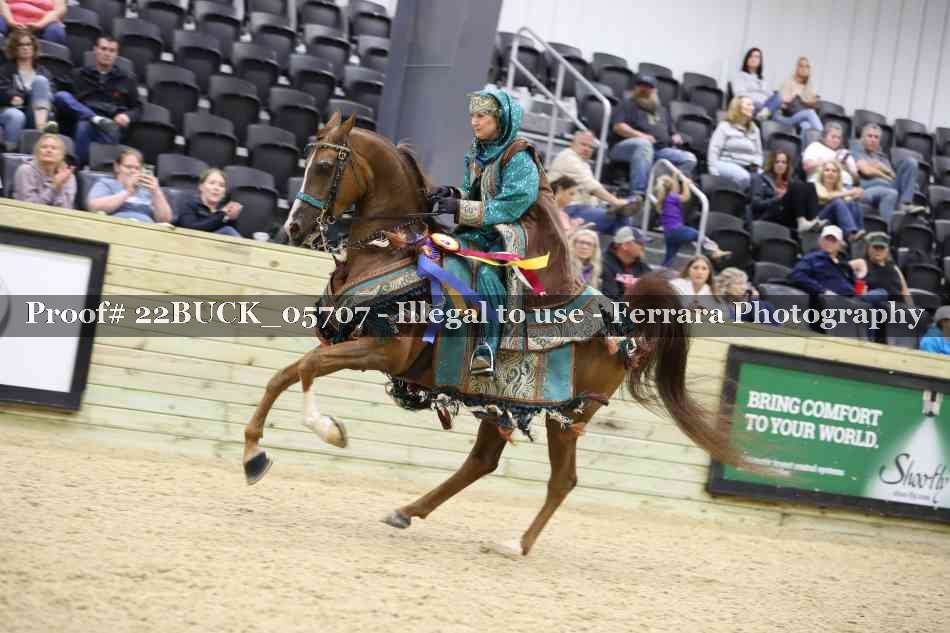 Proof 22BUCK_05707