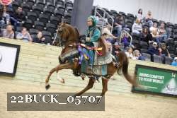 22BUCK_05707 proof