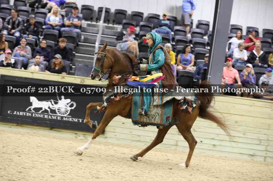 Proof 22BUCK_05709
